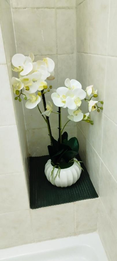 Epiro Home Rome Bagian luar foto